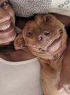 Smiley