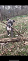 Casey