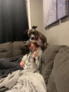 Casey