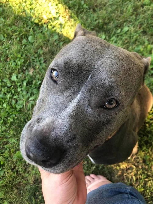 Gia