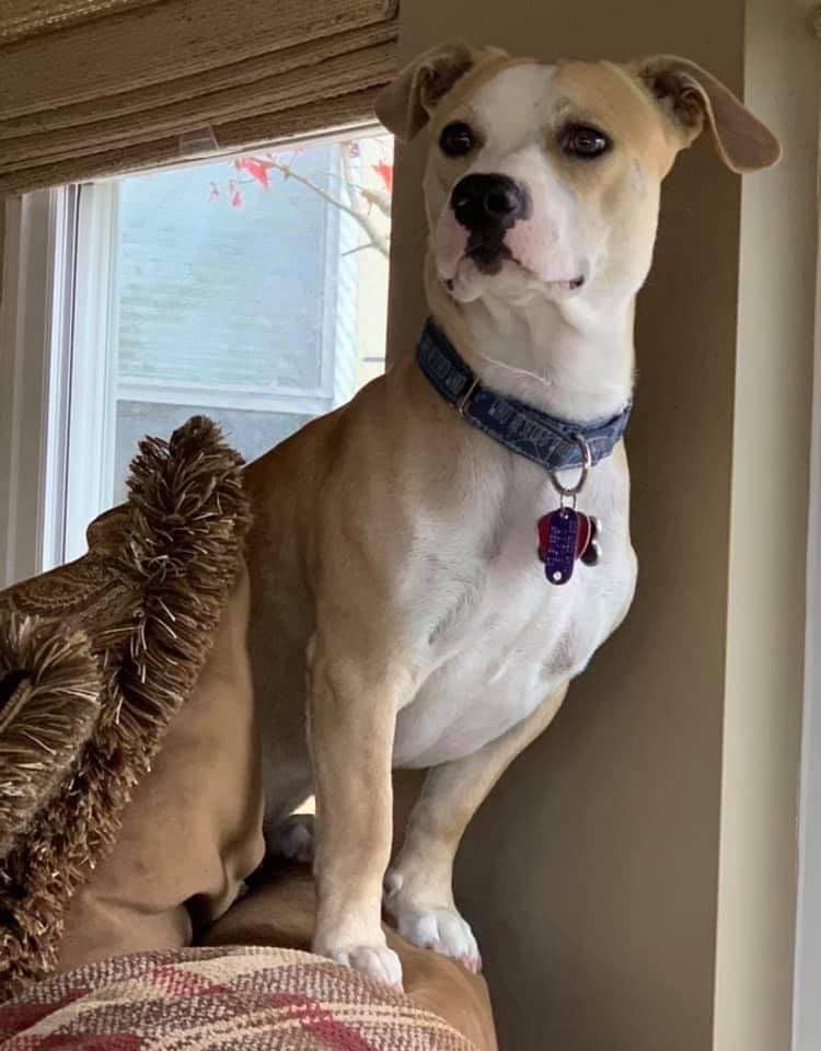 Tito