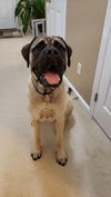 George