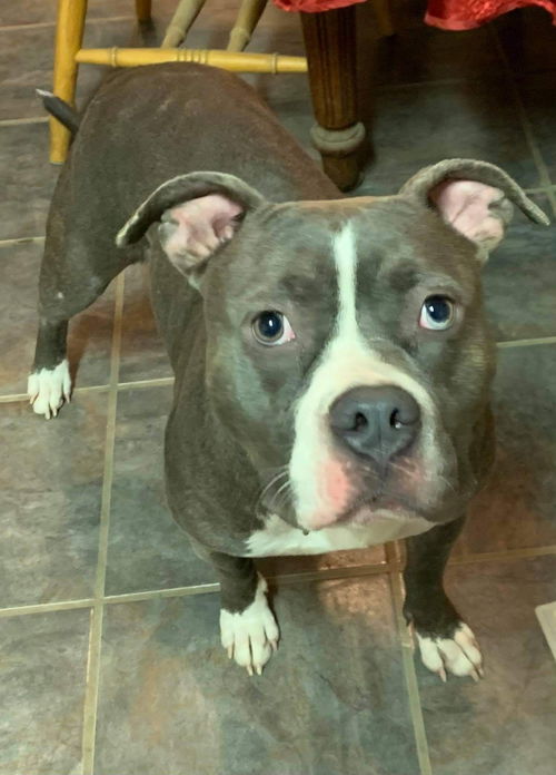 Ellie Mae