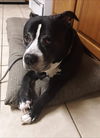 Ocho Zero