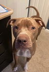 Jaxx