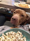 Jaxx