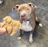 Jaxx