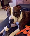 Mugsy