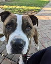 Mugsy