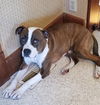 Mugsy