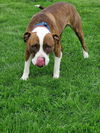 Mugsy