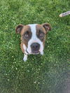 Mugsy