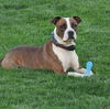 Mugsy