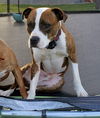 Mugsy