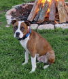Mugsy