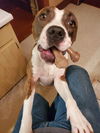 Mugsy