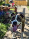 Mugsy