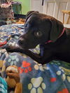 Jaxson