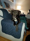 Jaxson