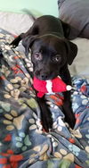 Jaxson