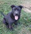 Onyx