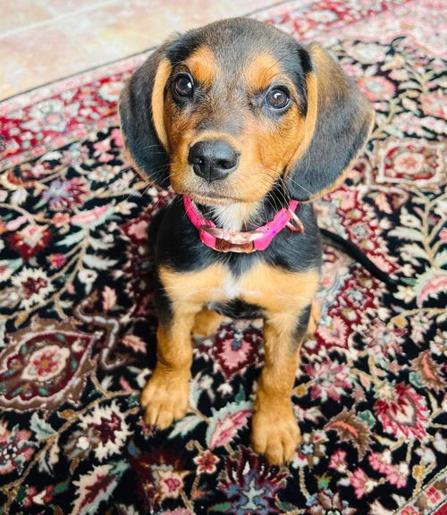 Sabrina