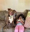 Canela