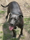 Tootsie - Photo 4