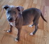 Janie