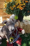 Janie