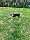 Jenny