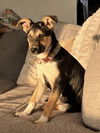 Olivia Roo