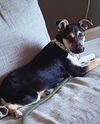 Olivia Roo
