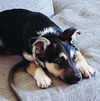Olivia Roo