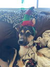 Olivia Roo
