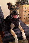 Olivia Roo
