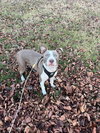Two Tone Tucker - Photo 4