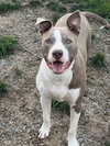 Two Tone Tucker - Photo 2