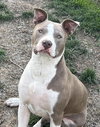 Two Tone Tucker - Photo 3