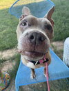 Baby Girl - Photo 4