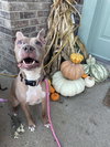 Baby Girl - Photo 5