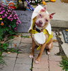 Baby Girl - Photo 2