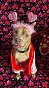 Baby Girl - Photo 1
