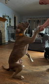 Riddick