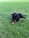 Cassiterite “Cassie”