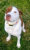 Oona