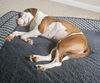 Oona