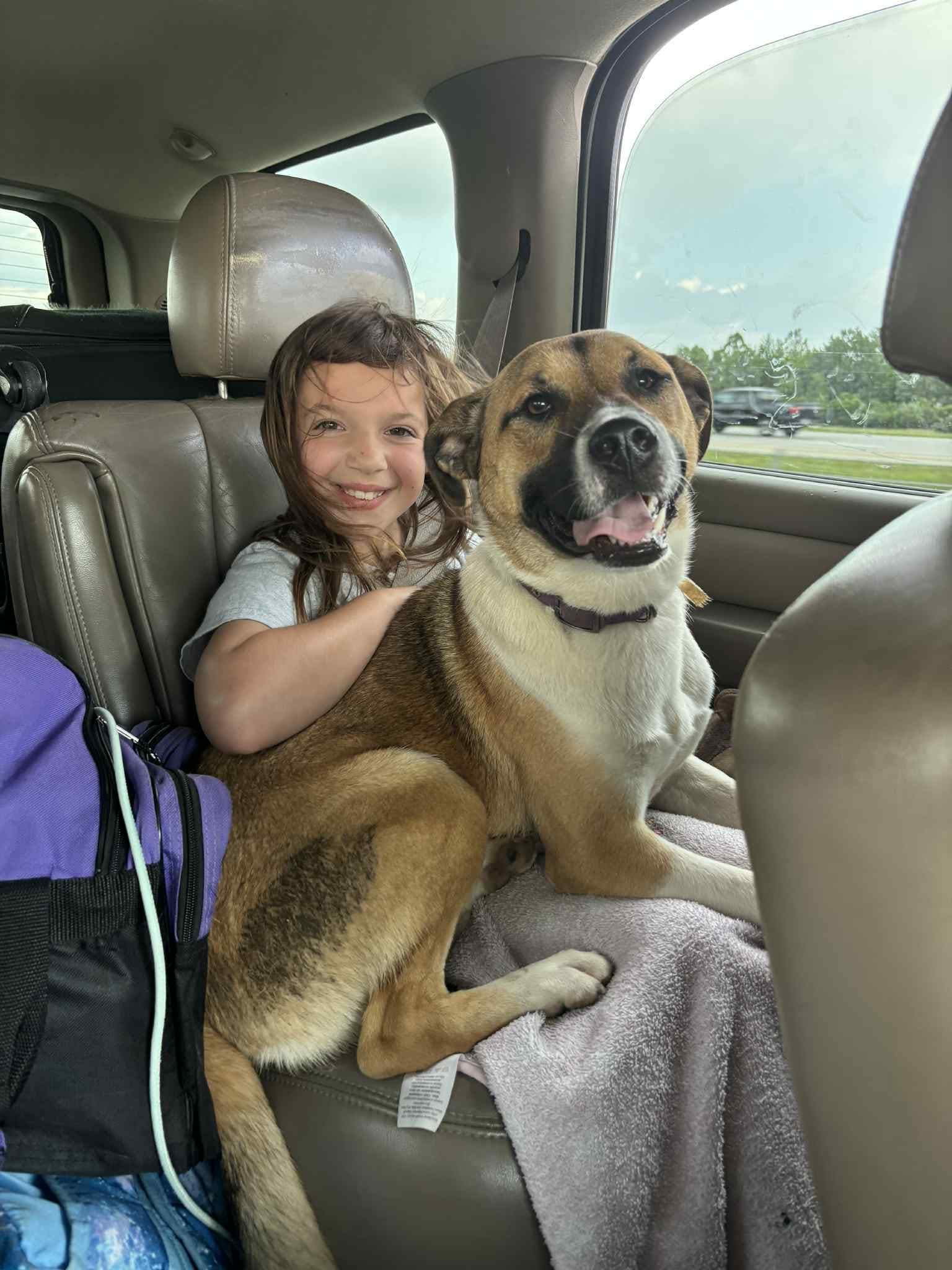 adoptable Dog in Germantown, OH named Rockstar
