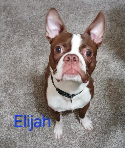 Elijah