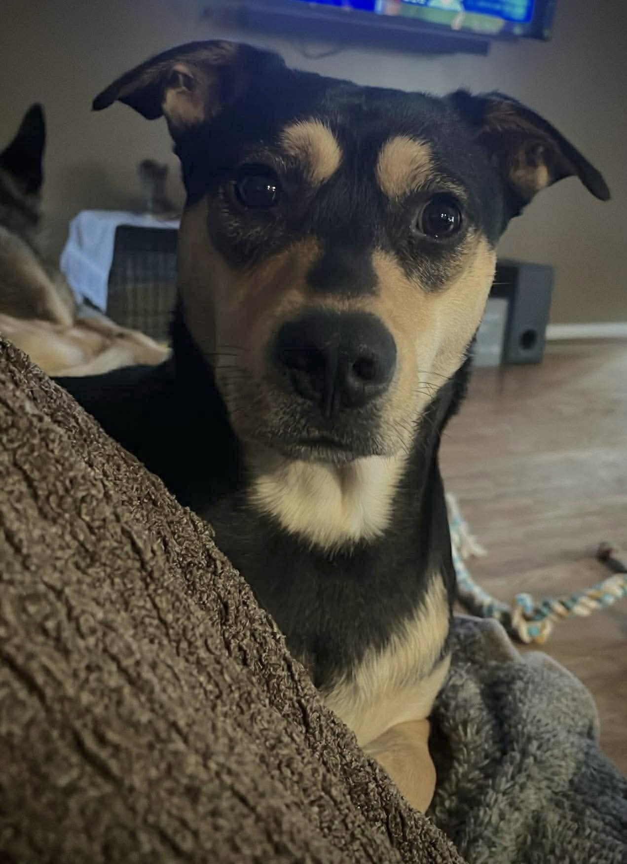 Kiko